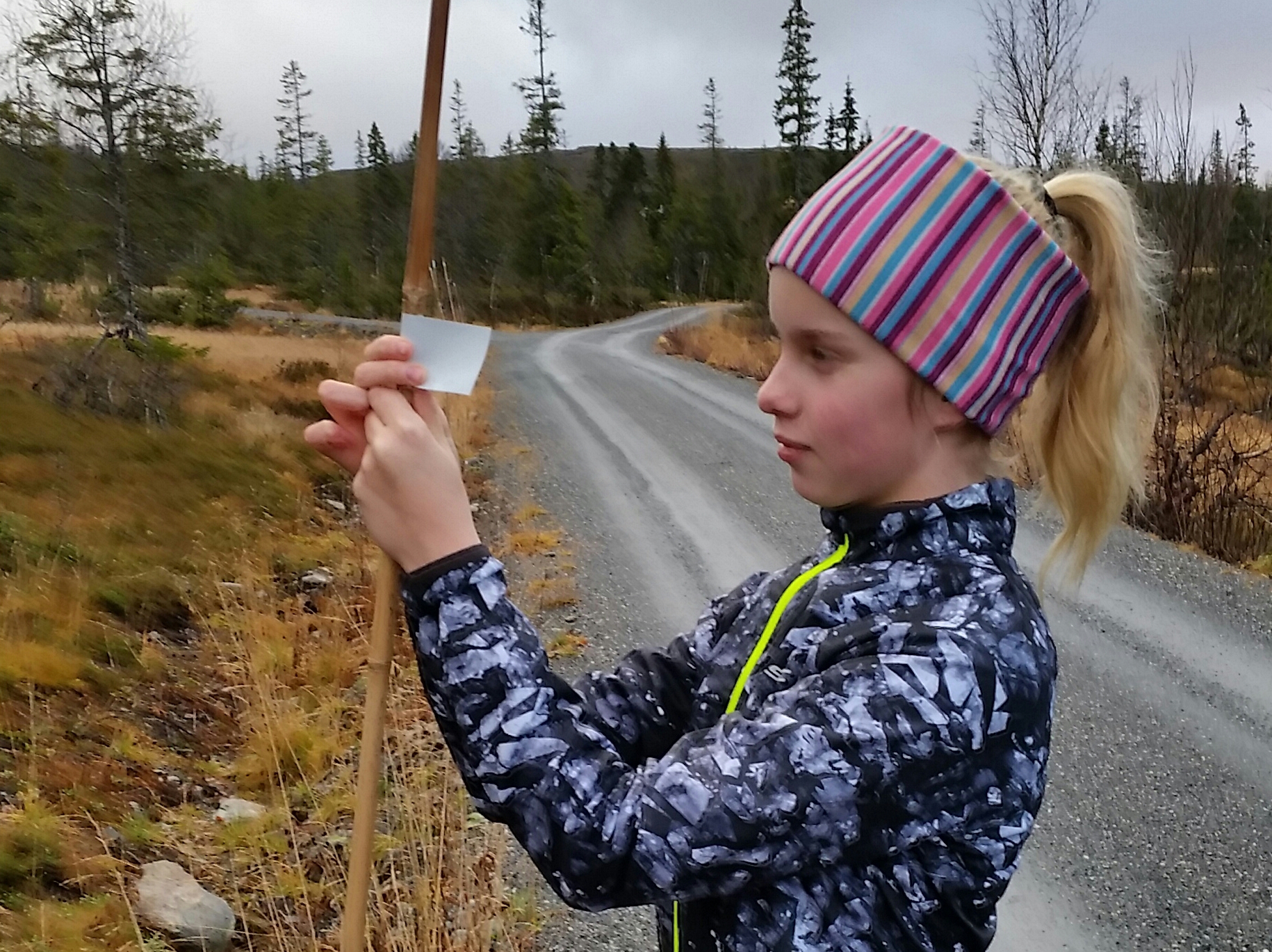 Refleks på brøytestikker