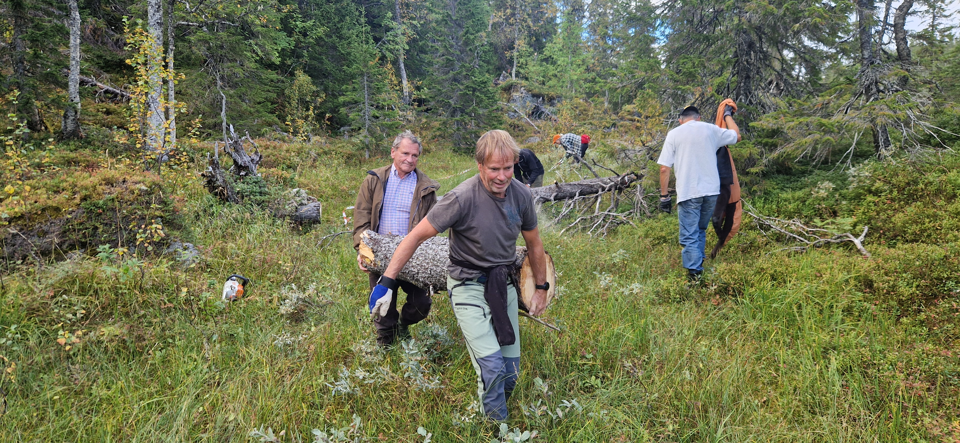 Artikkelbilde til artikkelen Dugnad rapport